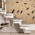 Steps To Take When You Suspect Termite Infestation
